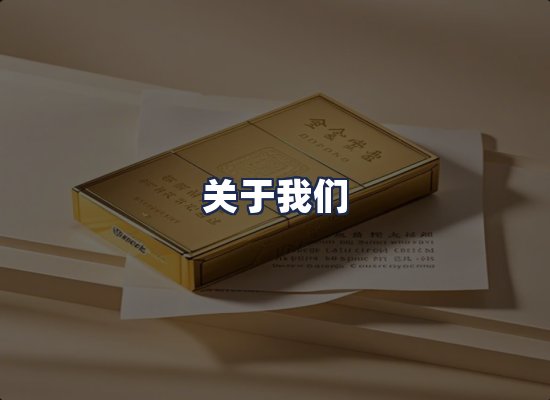 关于我们